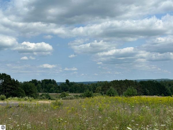 Cook Road, Williamsburg, MI 49690