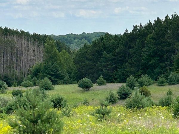 Cook Road, Williamsburg, MI 49690