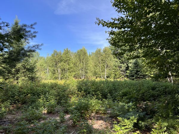 lot 6 & 8 Franklin Realty Road , Haynesville, ME 04497