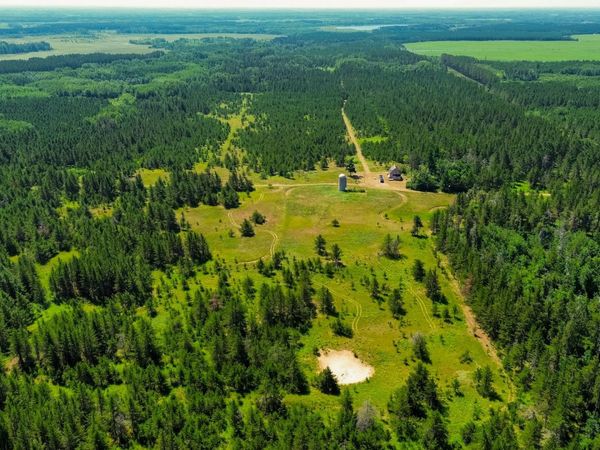 Tract 2 - 39794 259th Ave , Menahga, MN 56464