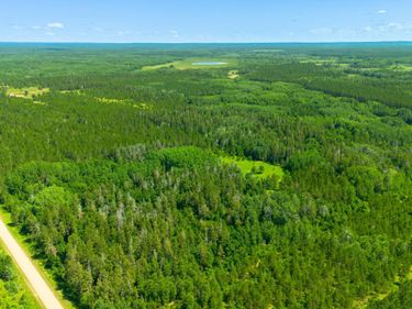 Tract 3 - TBD 259th Ave , Menahga, MN 56464