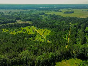 Tract 1 - TBD Hubbard Line Rd , Menahga, MN 56464