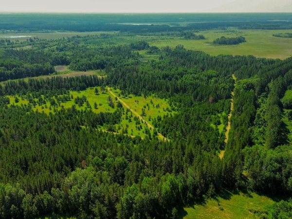 Tract 1 - TBD Hubbard Line Rd , Menahga, MN 56464