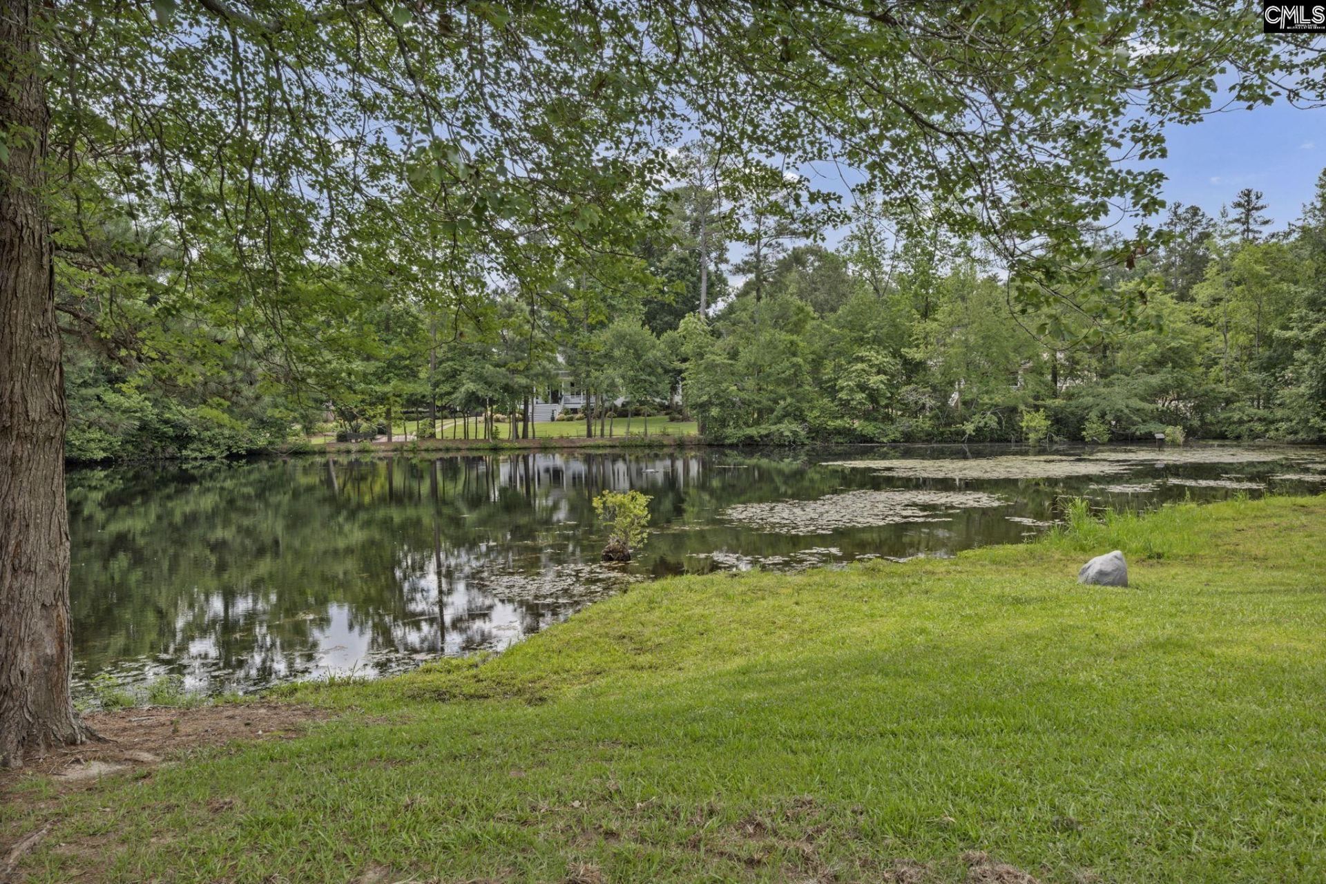 353 Vista Springs Circle  Photo 53
