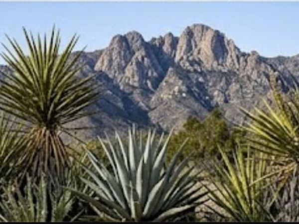 63330 Jeraboa Road, Mountain Center, CA 92561