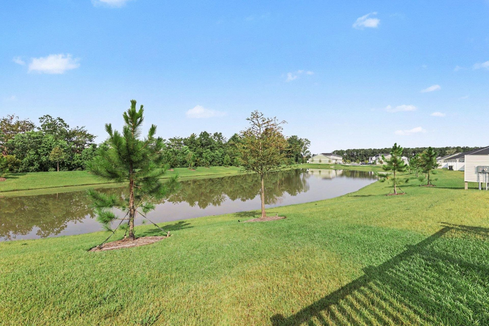 1119 Blueback Herring Way  Photo 21