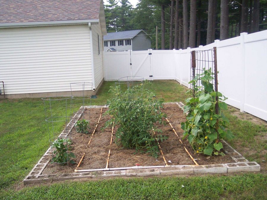 Property Image 22