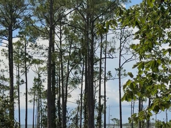 Lot 9 19th Street, Santa Rosa Beach, FL 32459