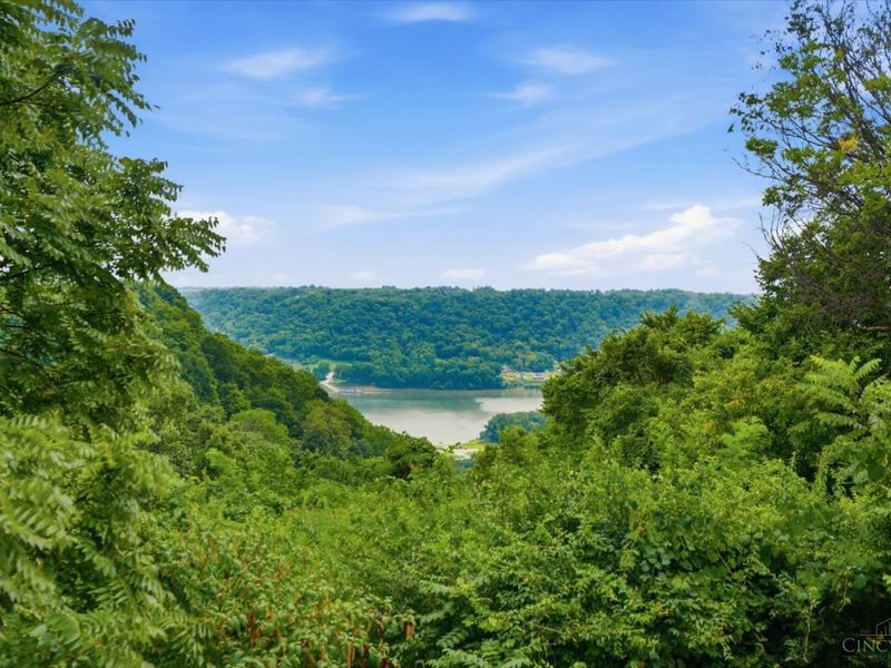 140 Palisades Point, Unit 5, Cincinnati, OH 45238 Photo 2