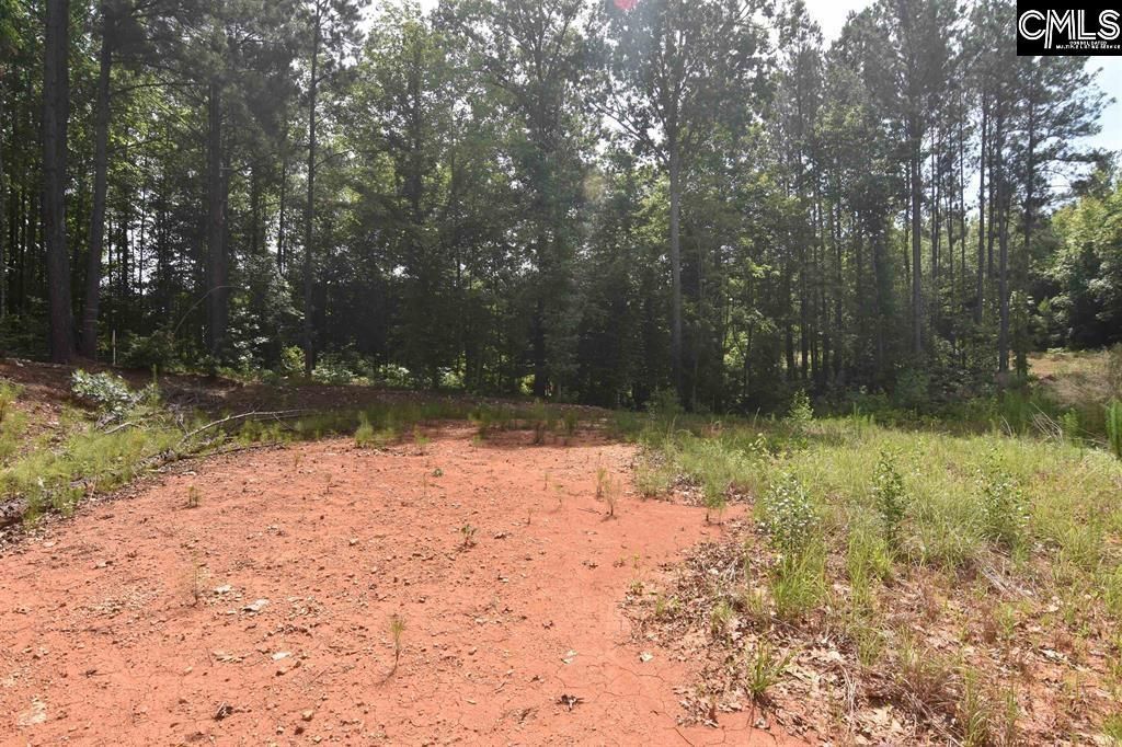 0 Longview Drive  Photo 11