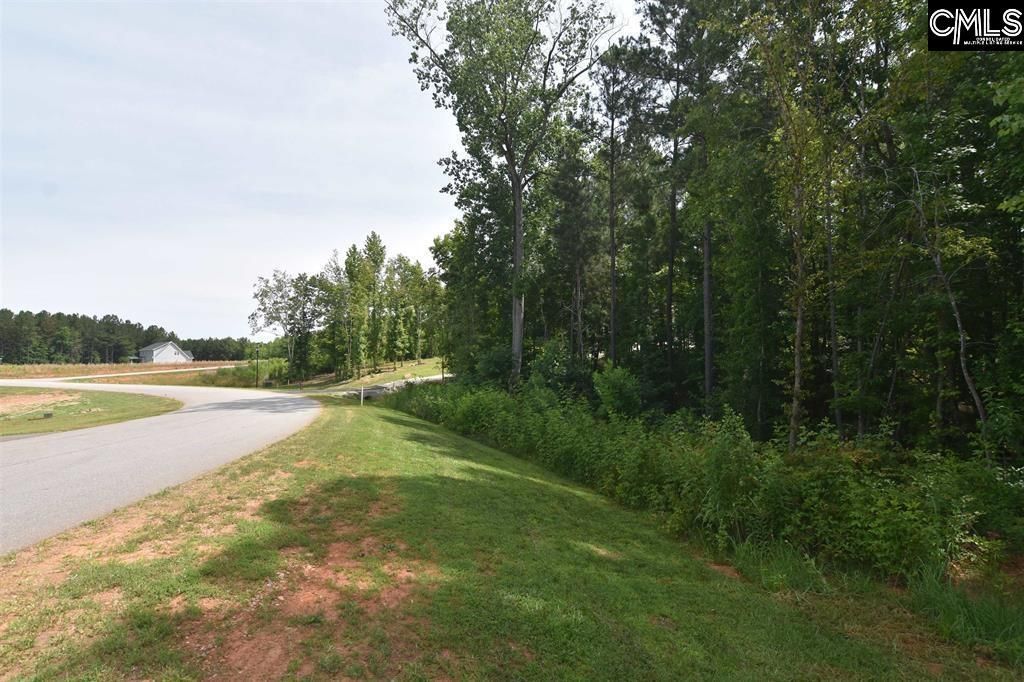 0 Longview Drive  Photo 12