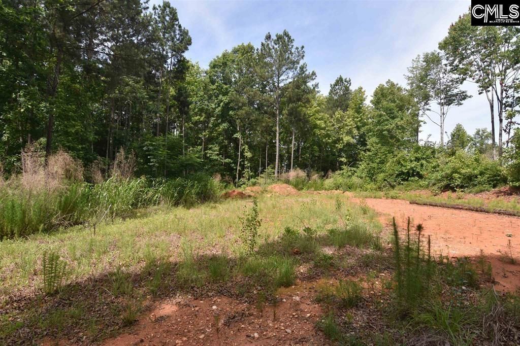 0 Longview Drive  Photo 14