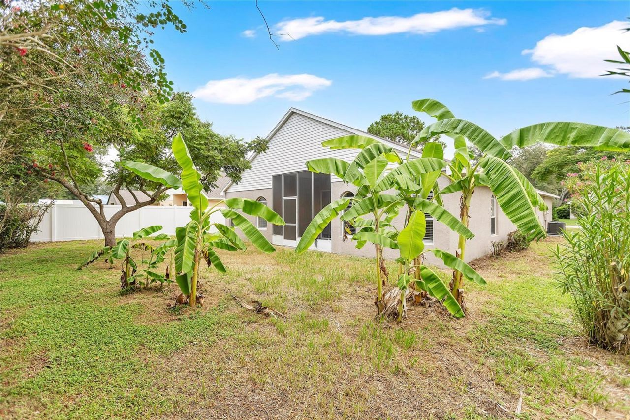 1422 Lake Shore Ranch Drive, Seffner, FL 33584 Photo