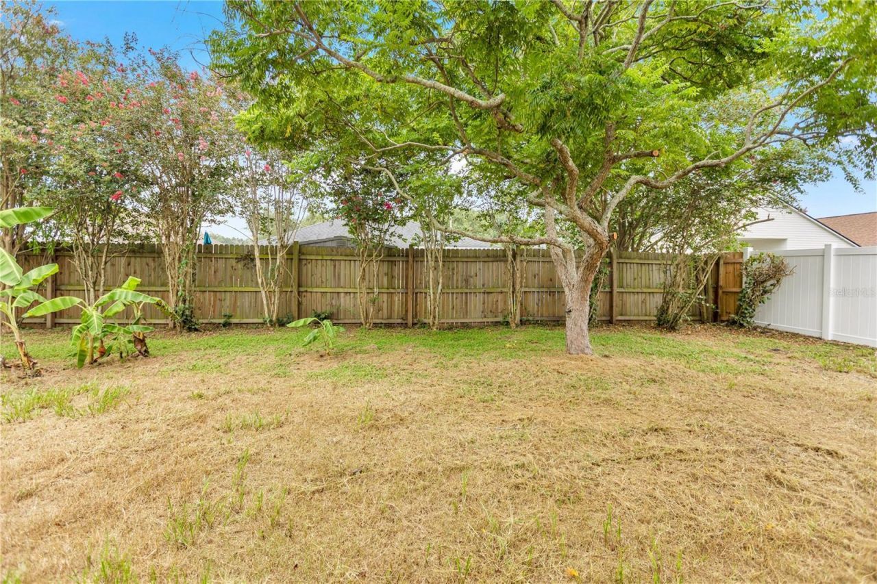 1422 Lake Shore Ranch Drive, Seffner, FL 33584 Photo