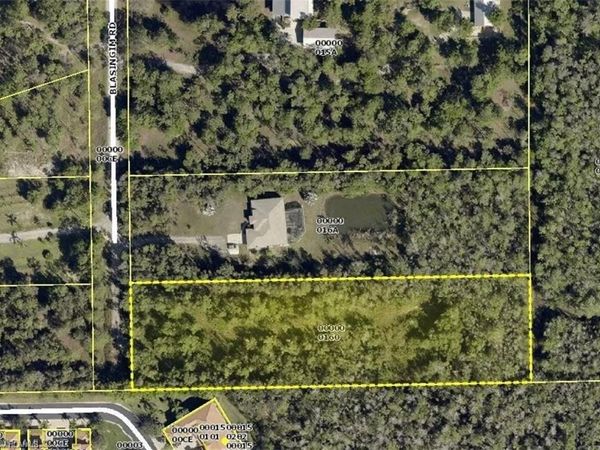 12491 Blasingim RD , FORT MYERS, FL 33966
