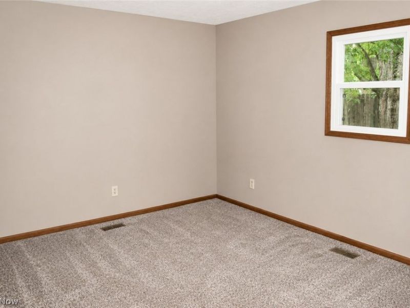 737 Grantwood Avenue, Sheffield Lake, OH 44054 Photo 19