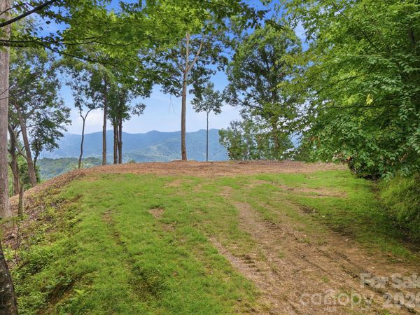 99999 Davidson Gap Road, Leicester, NC 28748