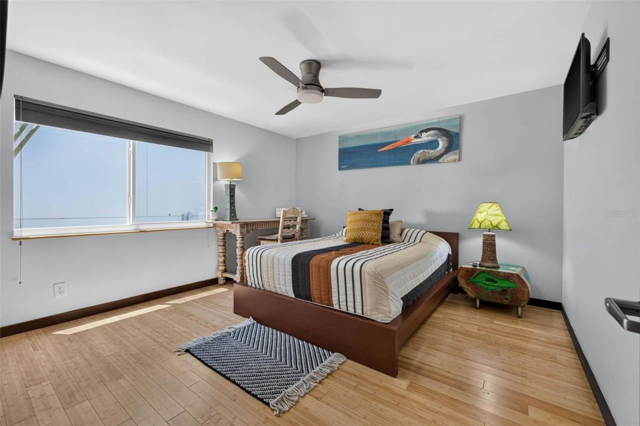 113 7th Street E, Saint Petersburg, FL 33715 Photo