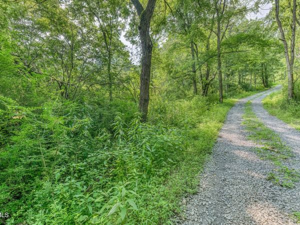 119 Alice Johnson Road, Unit 119, Roan Mountain, TN 37687