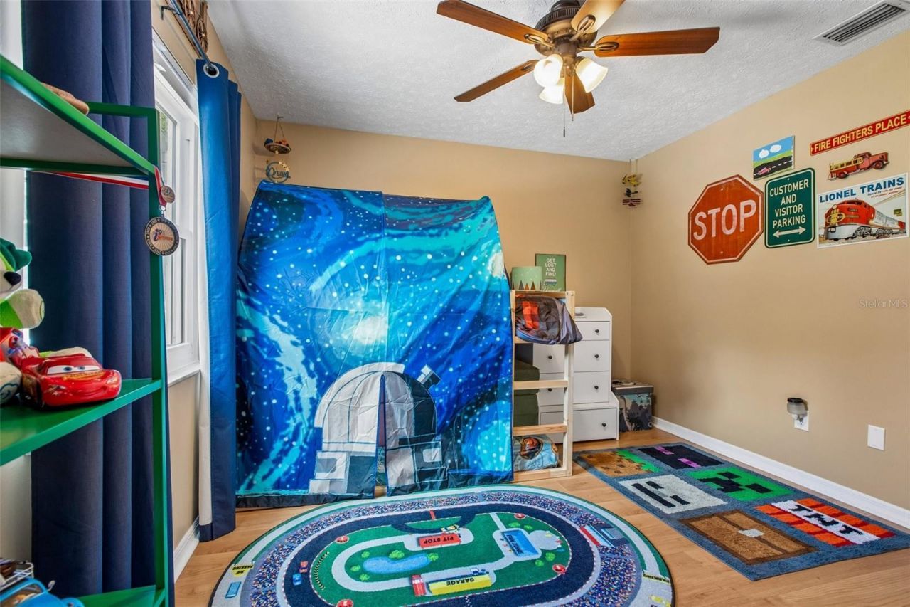 3949 Appletree Drive, Valrico, FL 33594 Photo