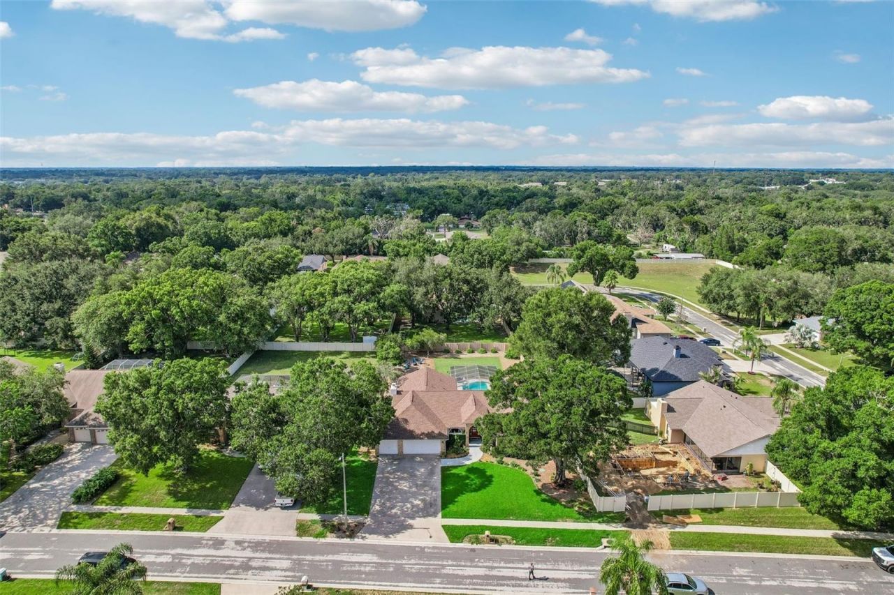 3949 Appletree Drive, Valrico, FL 33594 Photo