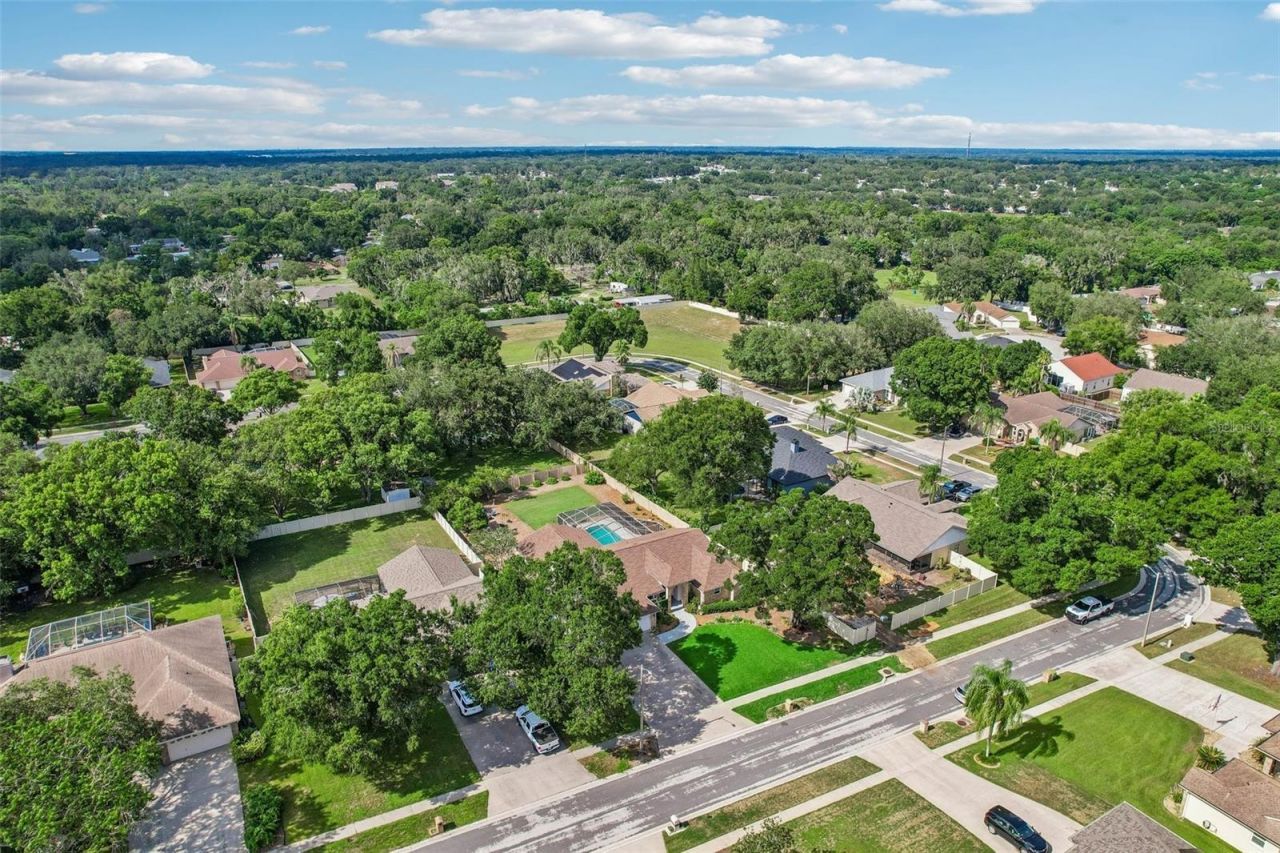 3949 Appletree Drive, Valrico, FL 33594 Photo