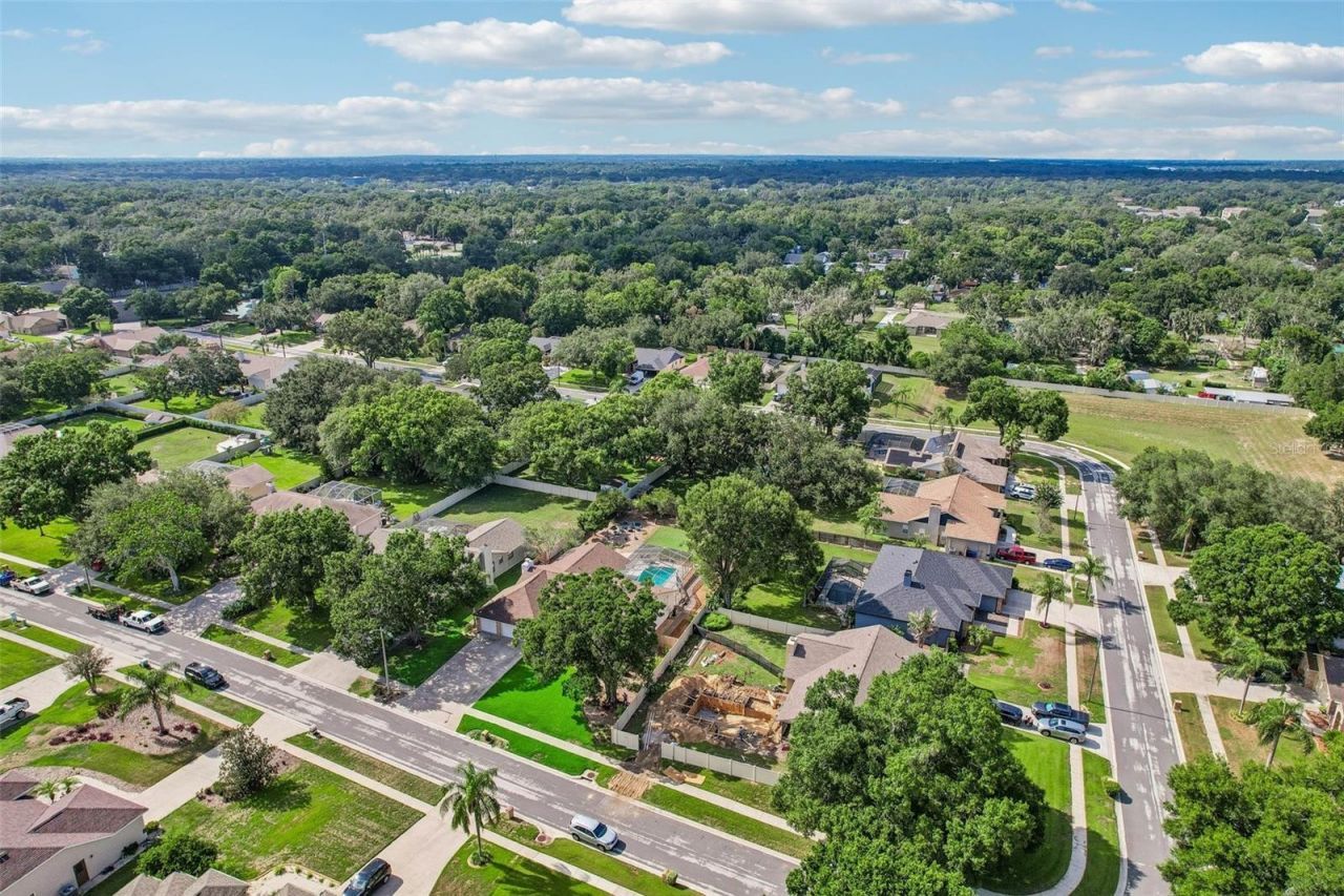 3949 Appletree Drive, Valrico, FL 33594 Photo