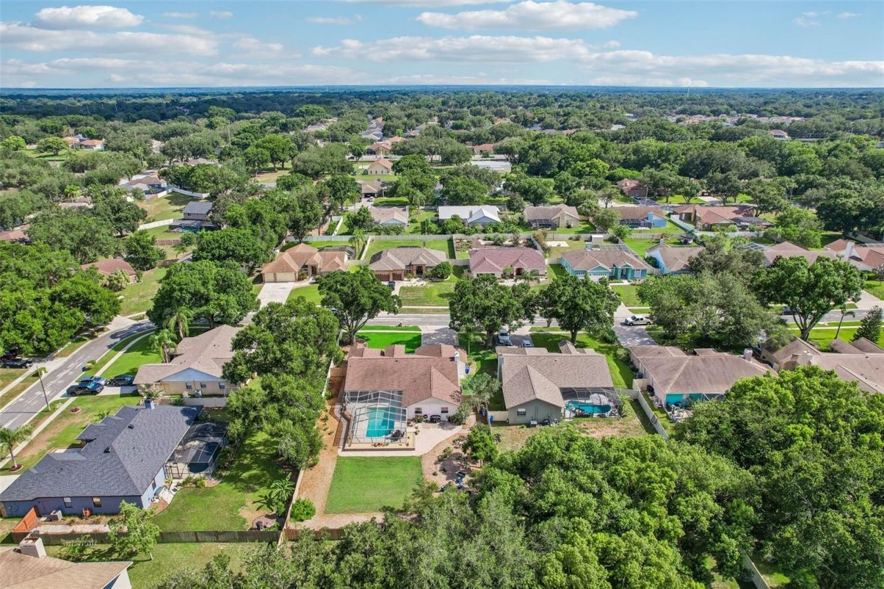 3949 Appletree Drive, Valrico, FL 33594 Photo