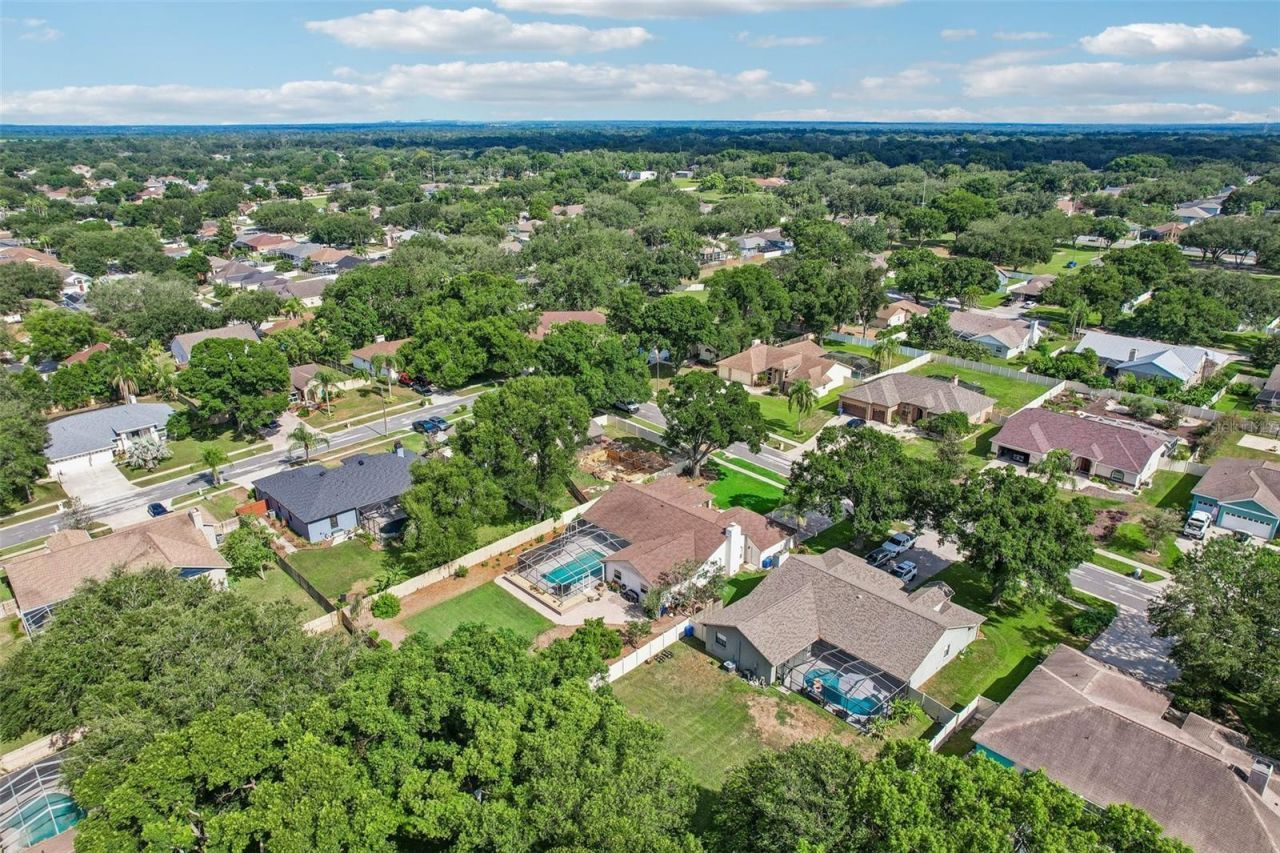 3949 Appletree Drive, Valrico, FL 33594 Photo