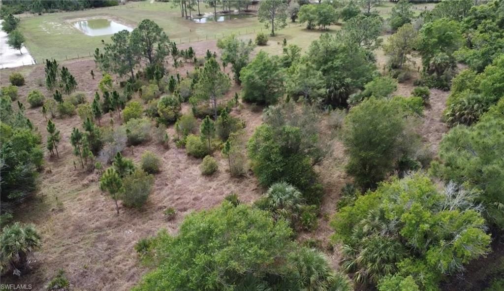 49151 Bermont Rd , Punta Gorda, FL 33982 Photo