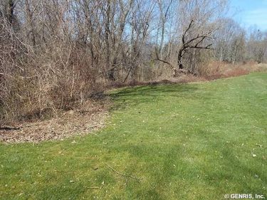 59 Cardogan Sq , Rochester, NY 14625