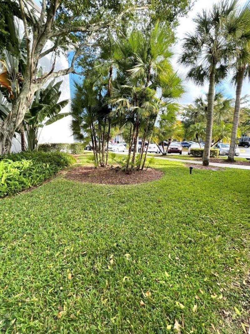 711 N Pine Island Road, Unit 305, Plantation, FL 33324 Photo