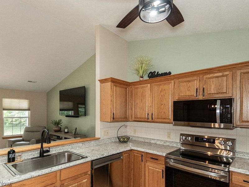 5270 Queen Ann Way , Perry, OH 44077 Photo 12