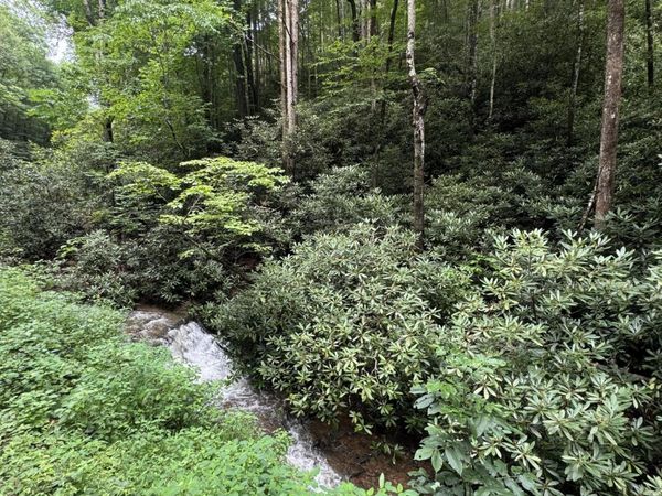 000 Lots 12 13 14 Butler Branch Rd, Gatlinburg, TN 37738