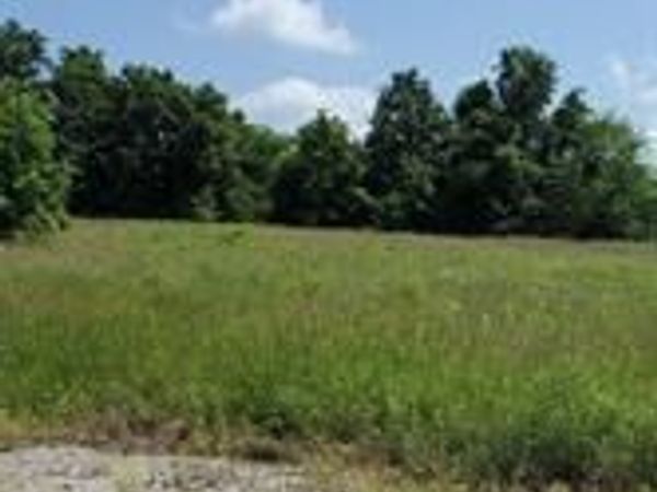 0 Route 66 (Hwy W), Phillipsburg, MO 65722