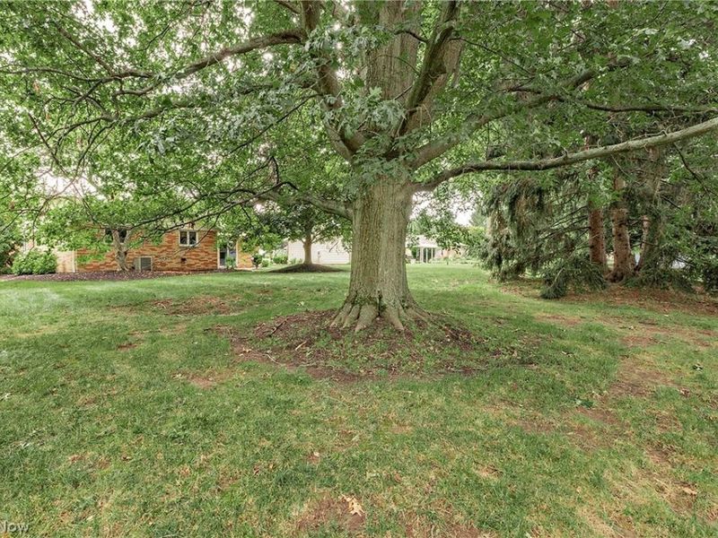 596 Jefferson Drive , Highland Heights, OH 44143 Photo 43