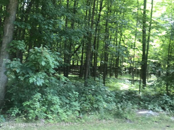 V/l #11 Brookshire Drive , Chesaning, MI 48616