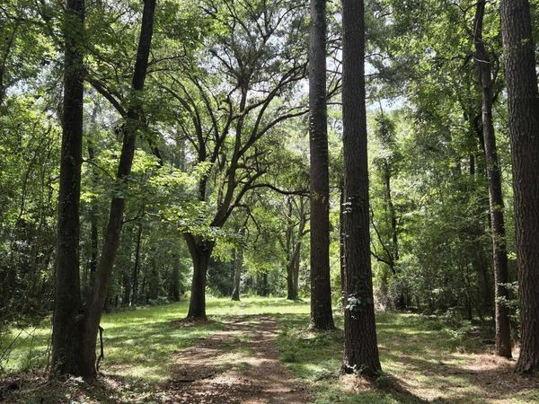 TBD Blackmore Rd, St Francisville, LA 70775