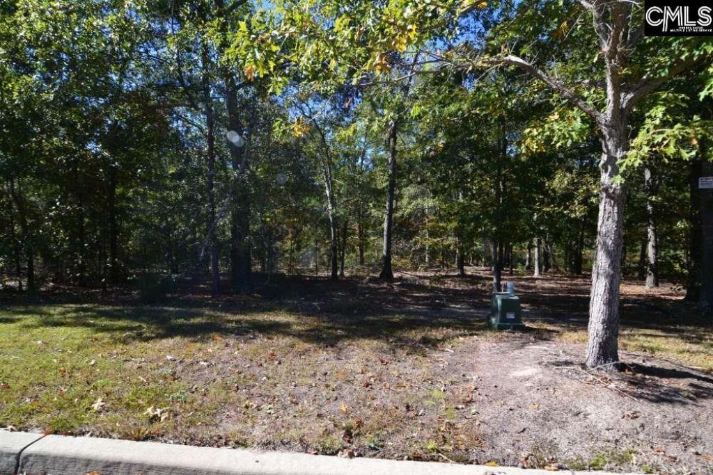 121 Montgomery Ridge Lane  Photo 10