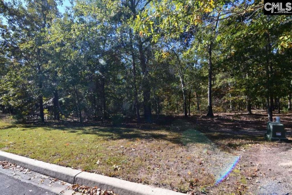 121 Montgomery Ridge Lane  Photo 11