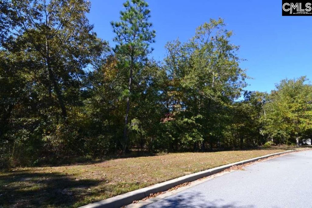 121 Montgomery Ridge Lane  Photo 4
