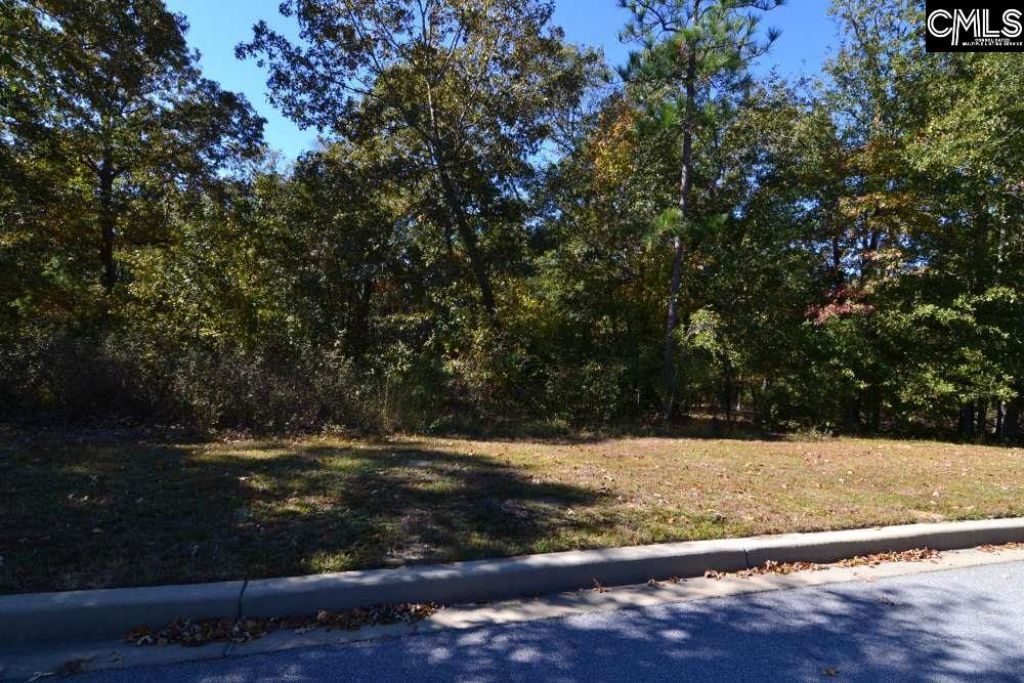 121 Montgomery Ridge Lane  Photo 5