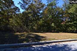 121 Montgomery Ridge Lane  photo 4