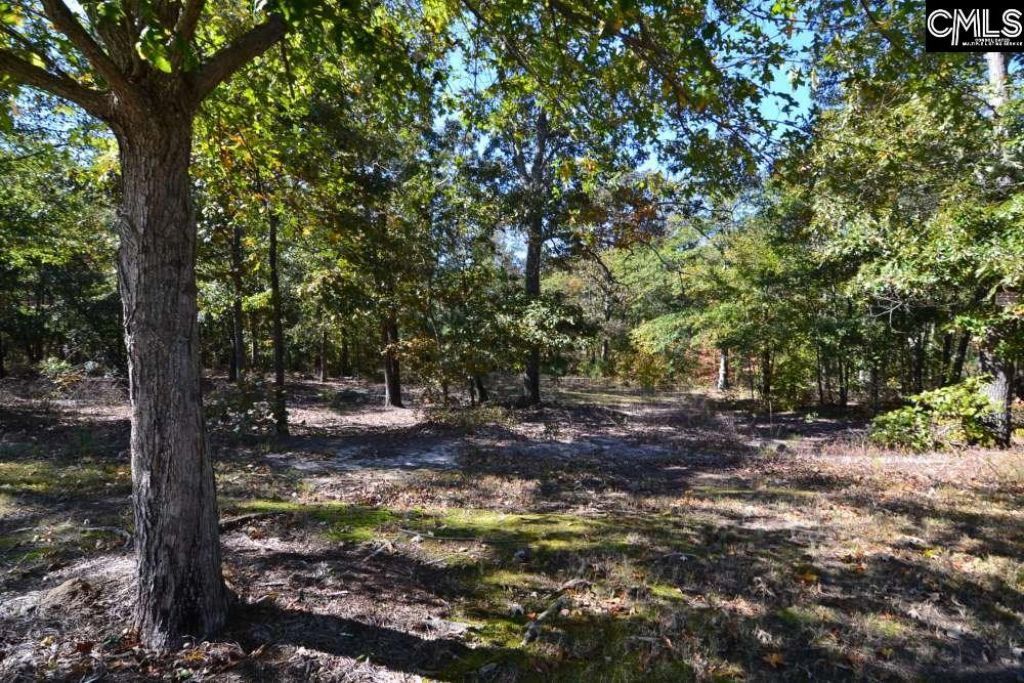 121 Montgomery Ridge Lane  Photo 6