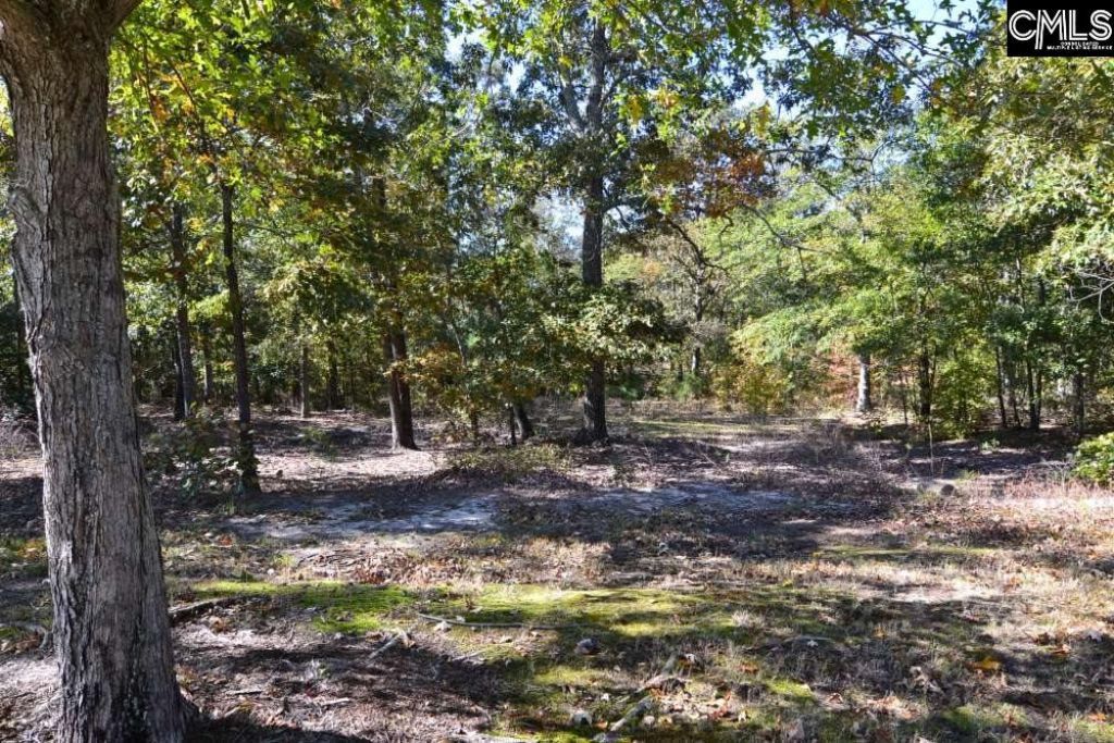 121 Montgomery Ridge Lane  Photo 7