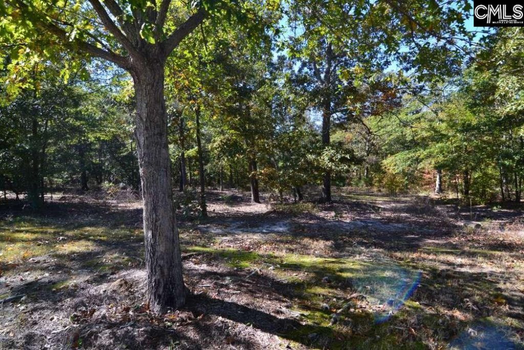121 Montgomery Ridge Lane  Photo 8