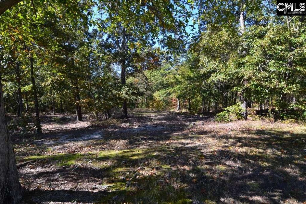 121 Montgomery Ridge Lane  Photo 9