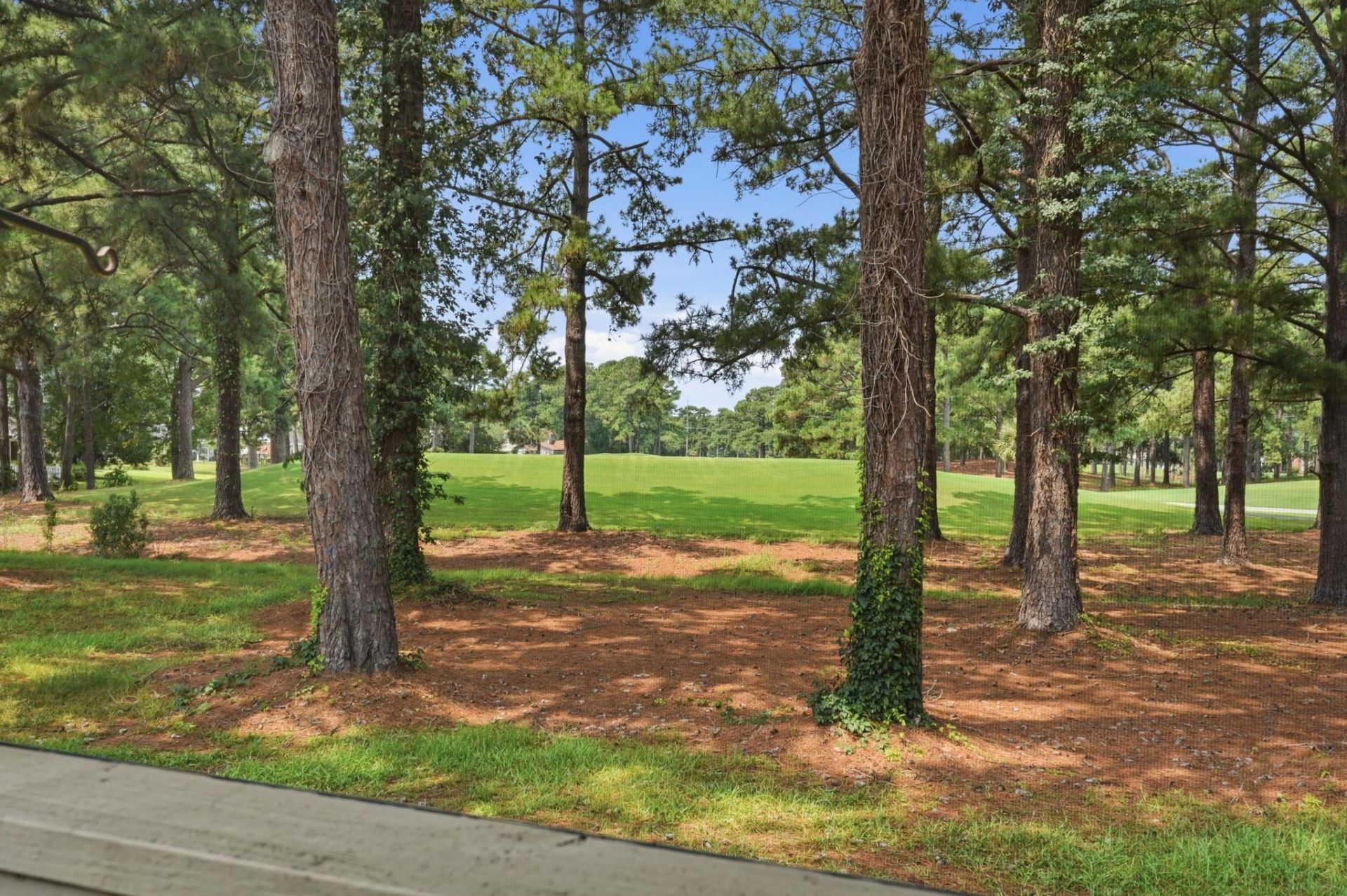 3015 Old Bryan Dr.  Photo 27