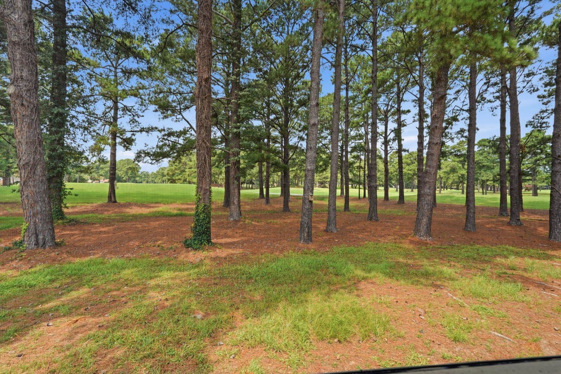 3015 Old Bryan Dr.  Photo 28