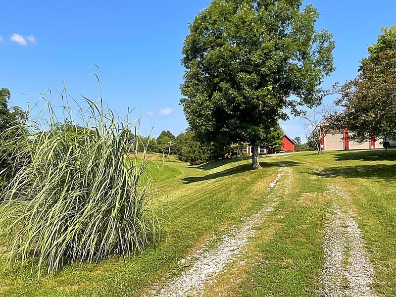 514 Johnsville Foster Road, Foster, KY 41043 Photo 32